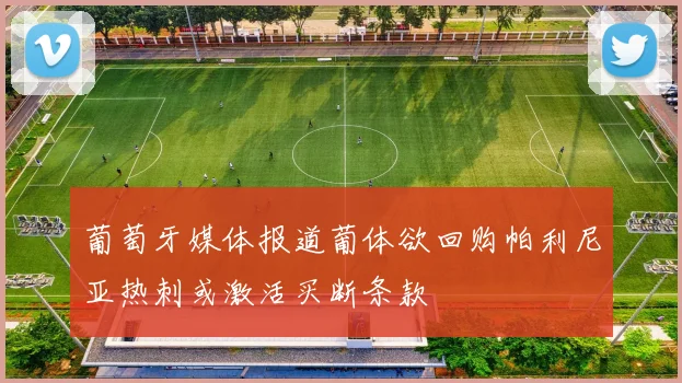 葡萄牙媒体报道葡体欲回购帕利尼亚热刺或激活买断条款